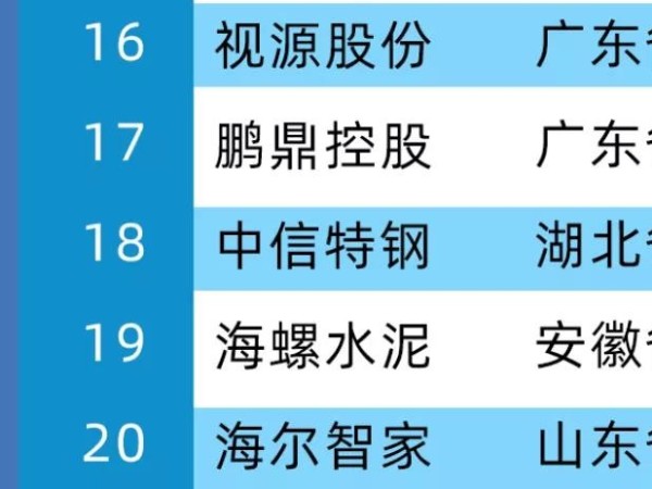 2020年中國製造業價值500強，MAXHUB母公司視源股份位居第16位